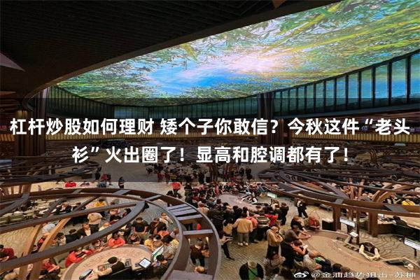 杠杆炒股如何理财 矮个子你敢信？今秋这件“老头衫”火出圈了！显高和腔调都有了！