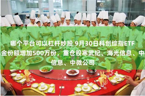哪个平台可以杠杆炒股 9月30日科创综指ETF招商基金份额增加500万份，重仓股寒武纪、海光信息、中微公司