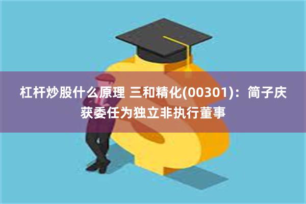 杠杆炒股什么原理 三和精化(00301)：简子庆获委任为独立非执行董事
