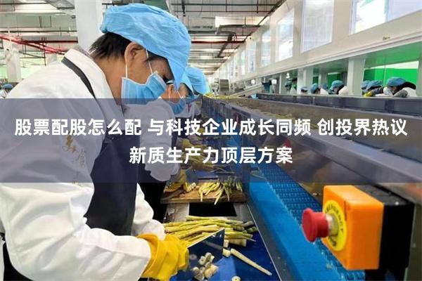 股票配股怎么配 与科技企业成长同频 创投界热议新质生产力顶层方案