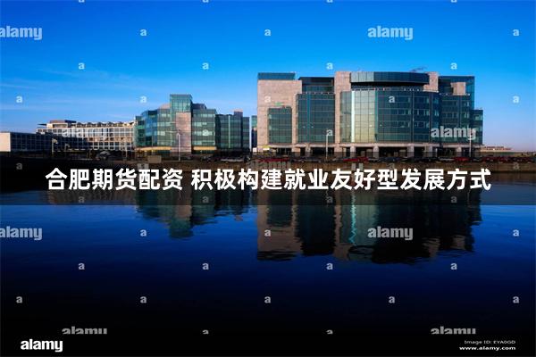 合肥期货配资 积极构建就业友好型发展方式