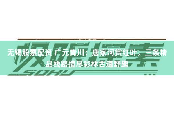 无锡股票配资 广元青川：唐家河赏红叶，三条精品线路揽尽彩林古道野趣